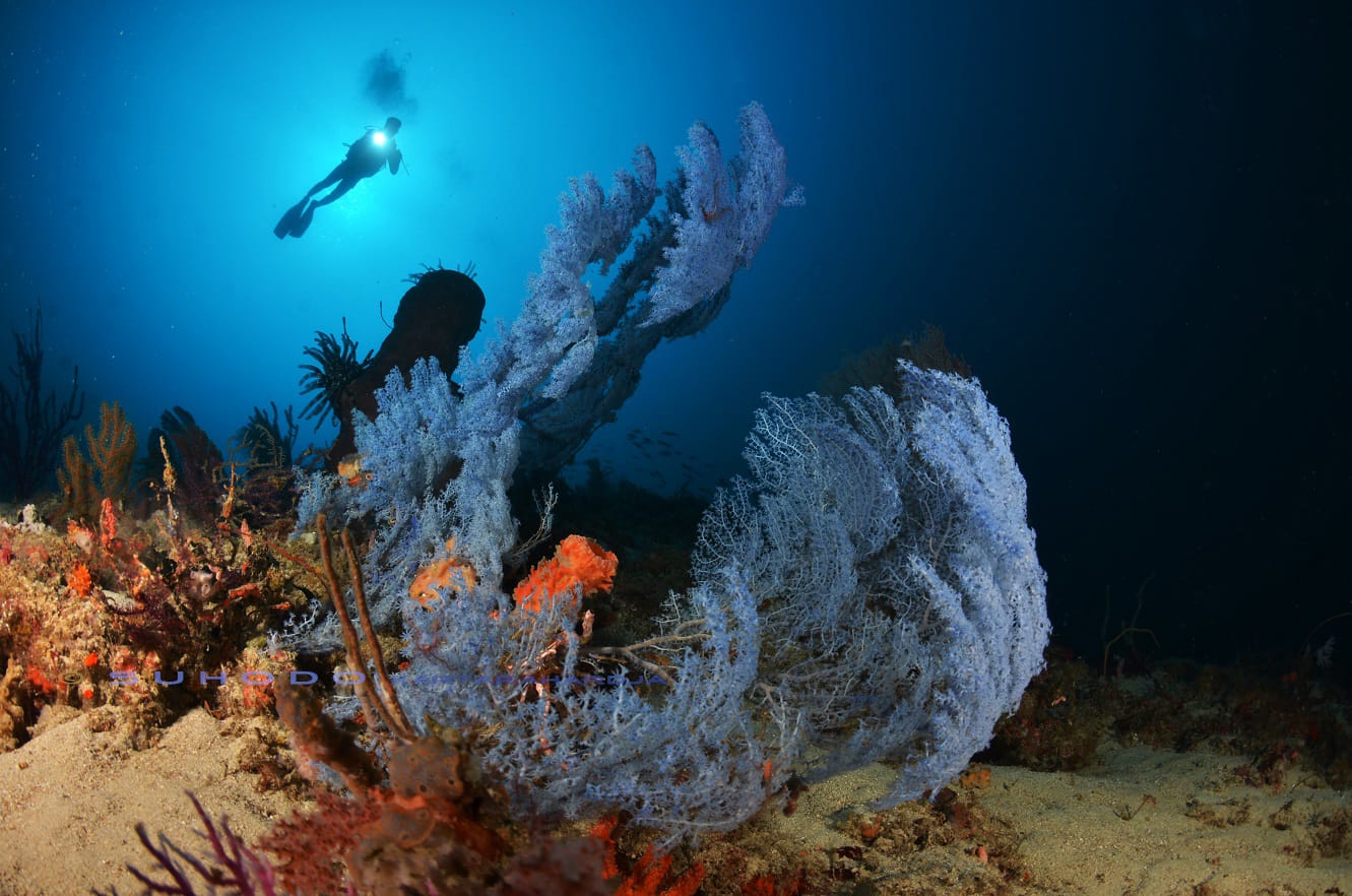 Desktop Header Image